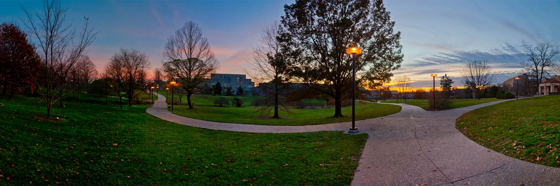 The IU Bloomington arboretum at dusk, lit with streetlights.