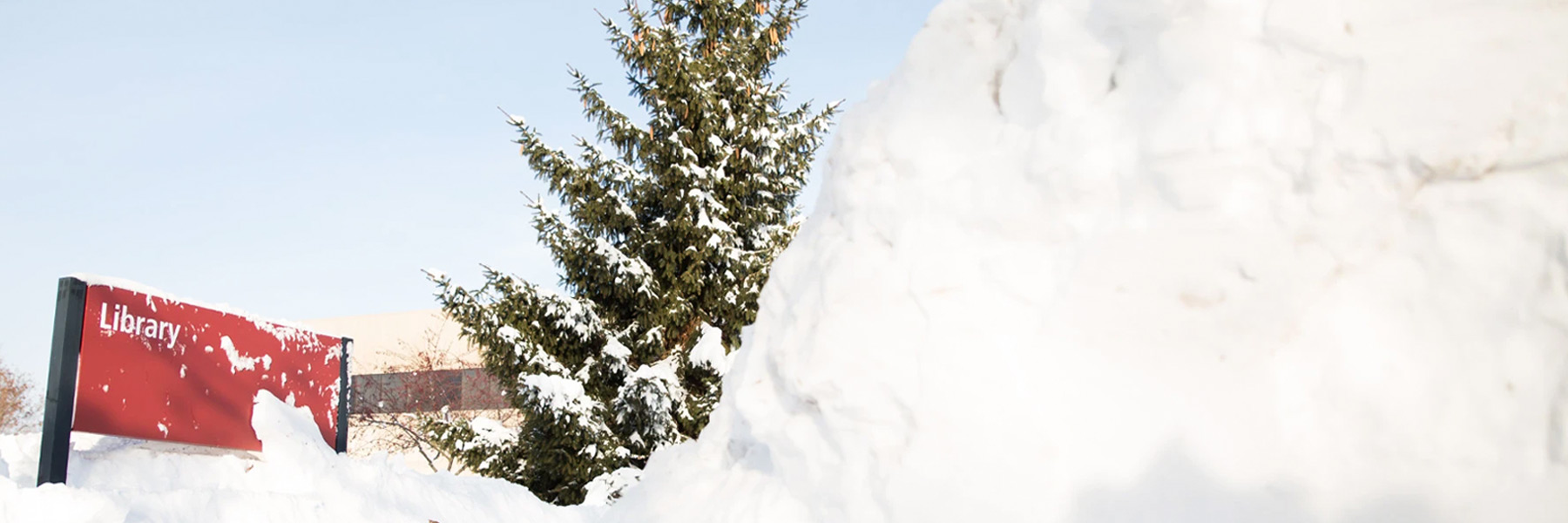 Several feet of snow piled high in front of IU Kokomo's library sign. 